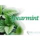 Spearmint Premium