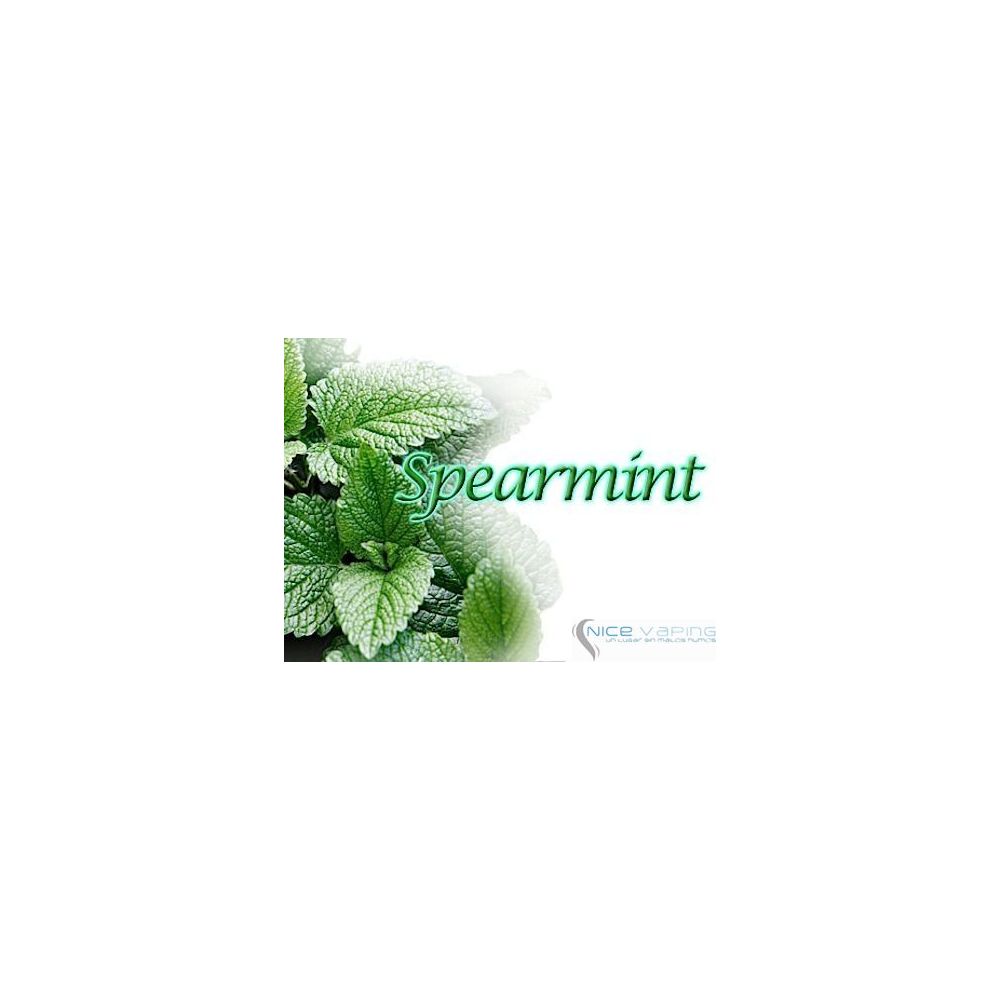 Spearmint Premium