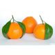 Naranja Mandarina Premium